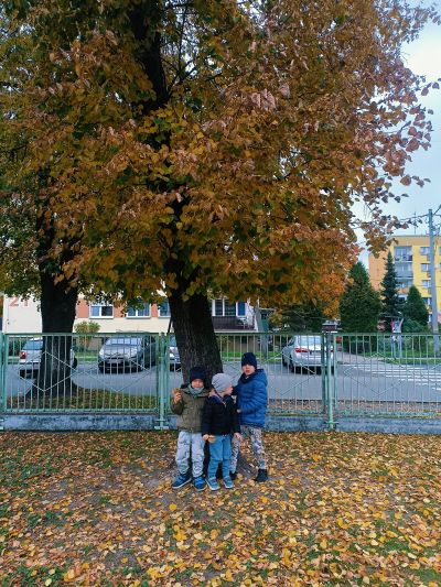 IMG 20251017 101615